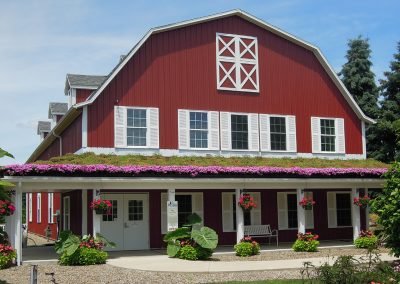 OwlBarn_14