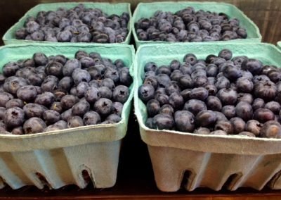 blueberries_08042015
