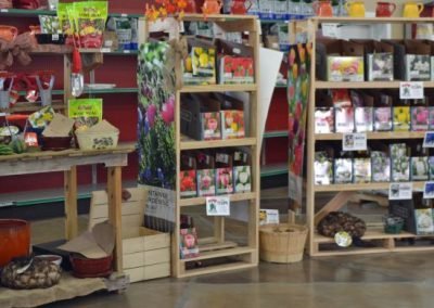 Store_11