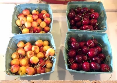 cherries