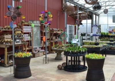 greenhouse5_square