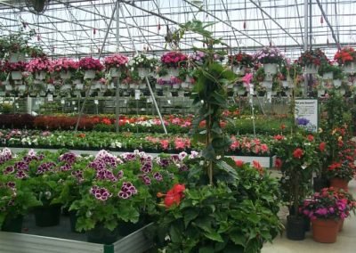 greenhouse7_square