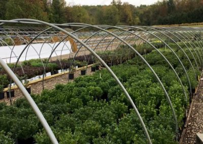 hoophouse_web_dn