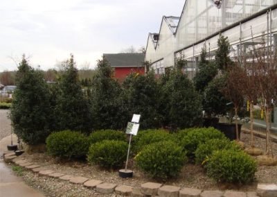 nursery14_square
