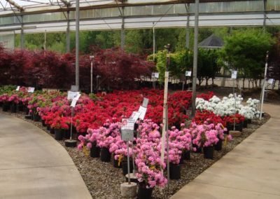 nursery16_square