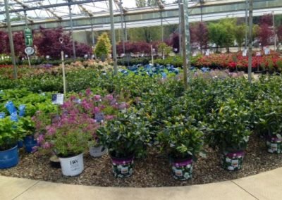 nursery18_square