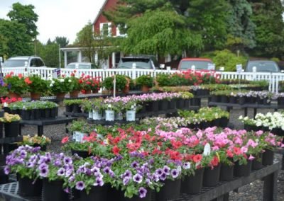 nursery1_square