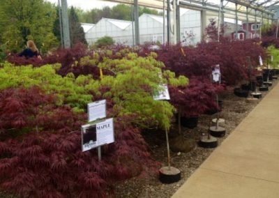nursery21_square