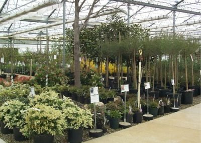 nursery24_square