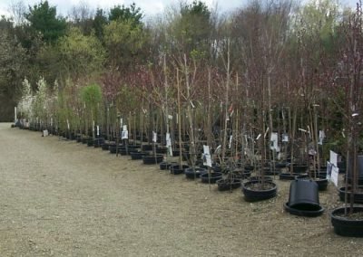 nursery25_square