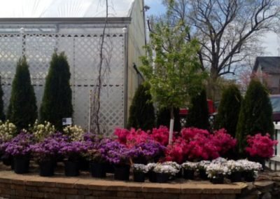 Nursery_27