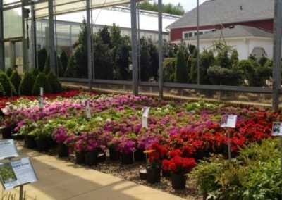 nursery9_square