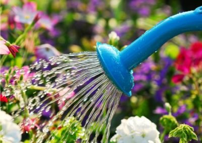 Watering