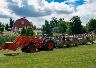 BlueberryFestival_hayride_web_dn