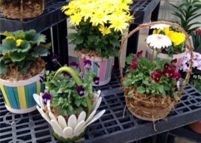 EasterFlowersGreenhouse2_web_dn