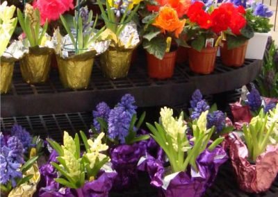 EasterFlowersGreenhouse3_web_dn