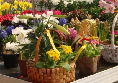 EasterFlowersGreenhouse_web_dn