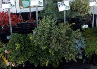 Bulk Holiday Greens