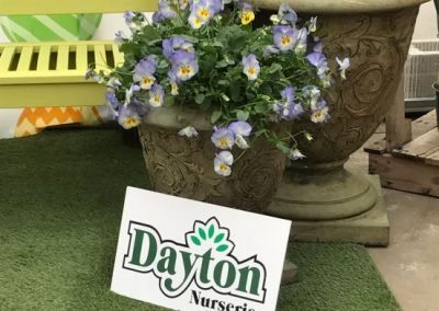 PottedPlantEaster_web_dn