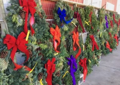 Fresh Live Wreaths