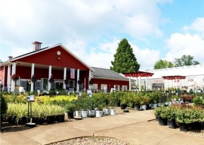 Front Sales yard summer 2021