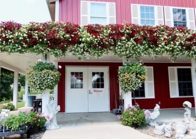 OwlBarn_Southside_greenroof_summer2021_web