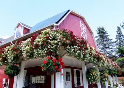 OwlBarn_Southside_summer2021_web