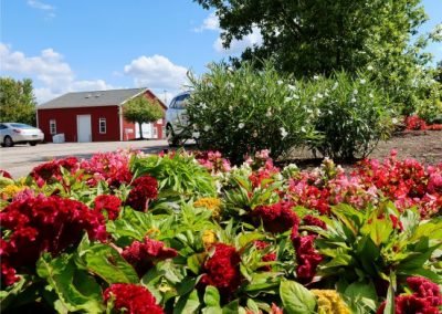 ParkingLotIsland_summer_2021_web