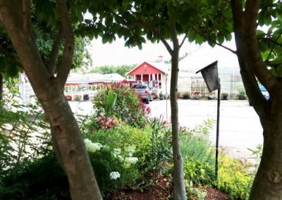 PollinatorGardentostore_summer2021_web