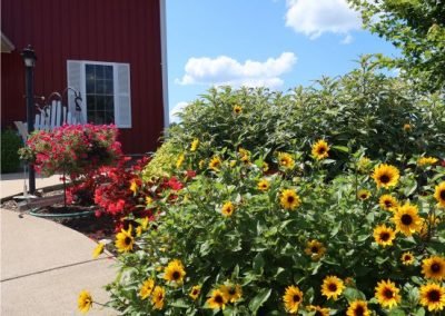 owlbarn_eastside_summer2021_web