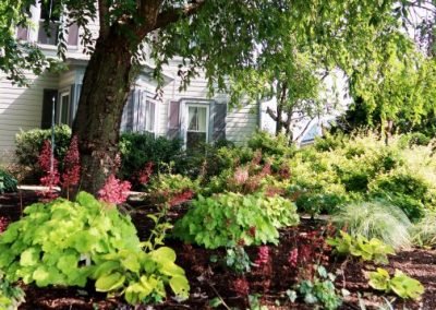 shade garden by house_summer 2021