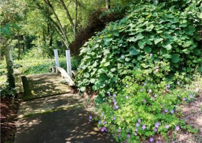 water garden gazebo summer 2021
